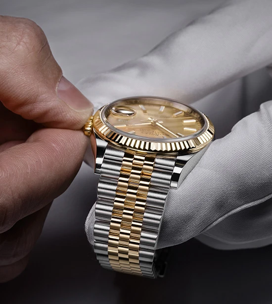 Orzelleca rolex hotsell